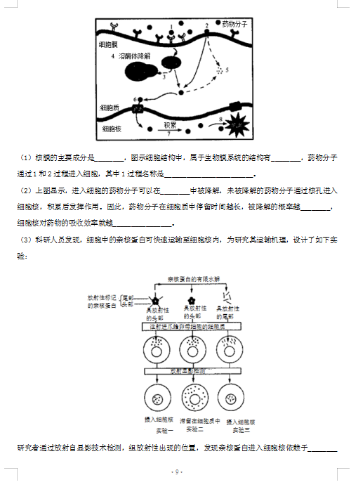 2021ýKʡoaиI(y)_W(xu)zy(c)ԇ}DƬ棩9