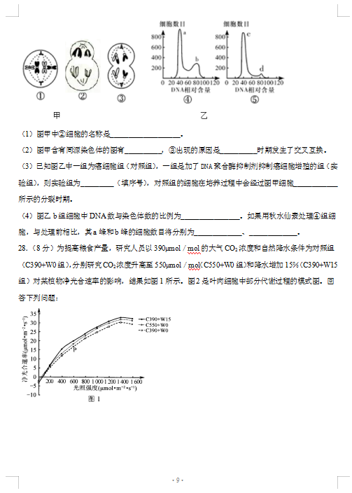 2021ýKʡPЌW(xu)όW(xu)_W(xu)zyԇ}DƬ棩9