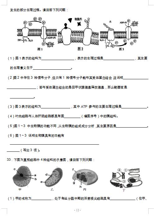 2021úʡȪЌW(xu)όW(xu)8¿ԇ}DƬ棩12