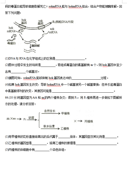 2021úӱʡɽи߶όW(xu)9|(zh)zy(c)ԇ}DƬ棩12