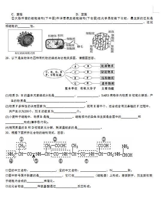 2021úʡ_ɽhڶ߼(j)ЌW(xu)һόW(xu)һ¿ԇ}DƬ棩4