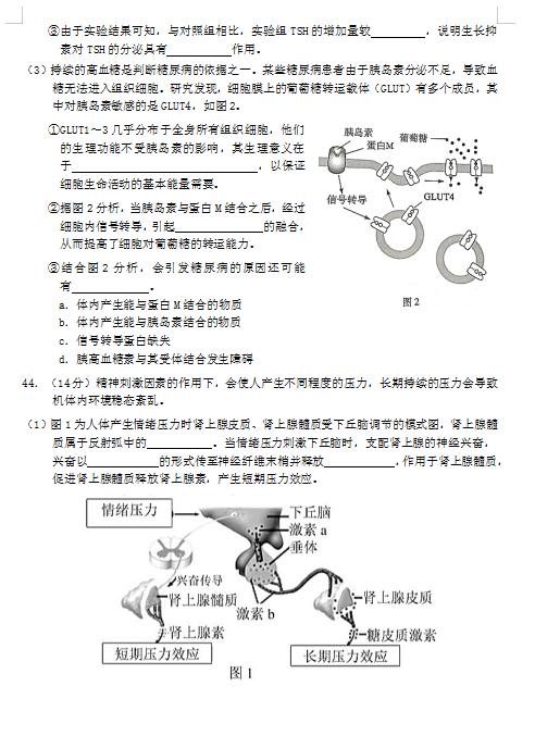 2021ñӢЌW(xu)߶һW(xu)пԇԇ}DƬ棩10