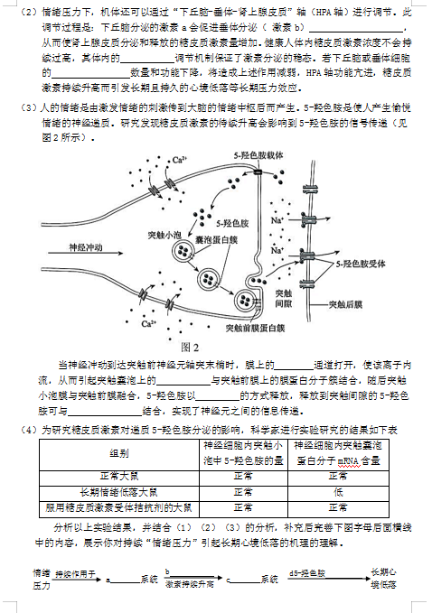 2021ñӢЌW(xu)߶һW(xu)пԇԇ}DƬ棩11