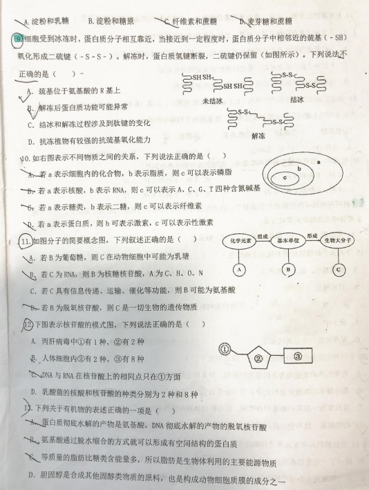 2021öʮиһόW(xu)пԇ}DƬ棩2