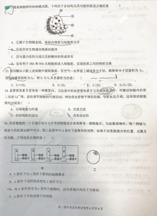 2021öʮиһόW(xu)пԇ}DƬ棩6