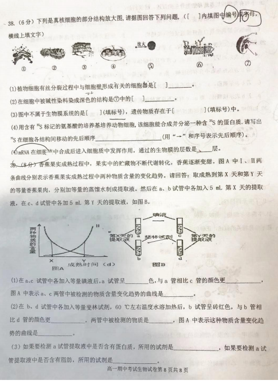 2021öʮиһόW(xu)пԇ}DƬ棩8