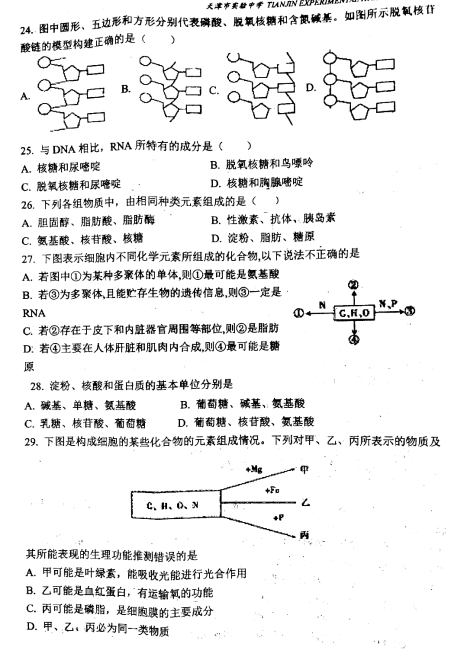 2021ЌЌW(xu)һόW(xu)ԇ}DƬ棩5