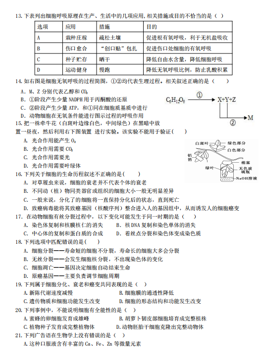 2021ýʡMMhЌW(xu)(lin)ԇ}DƬ棩3