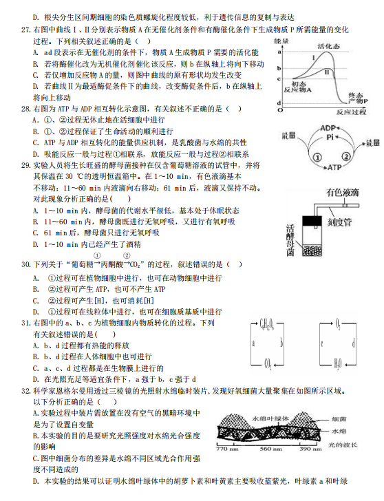 2021ýʡMMhЌW(xu)(lin)ԇ}DƬ棩5