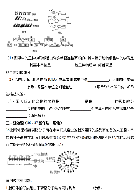 2021ɽʡ̫ԭʮЌW(xu)һόW(xu)10¿ԇ}DƬ棩11