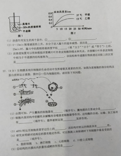 2021üʡԭLXиһόW(xu)ڵڶοԇԇ}DƬ棩10