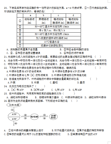 2021ʡɽеھЌW߶όWڵڶ¿ԇ}DƬ棩4