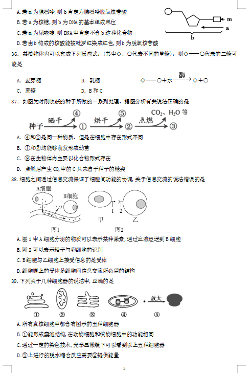 2021ÌyбW(xu)ЌW(xu)߶10¿ԇ}DƬ棩5