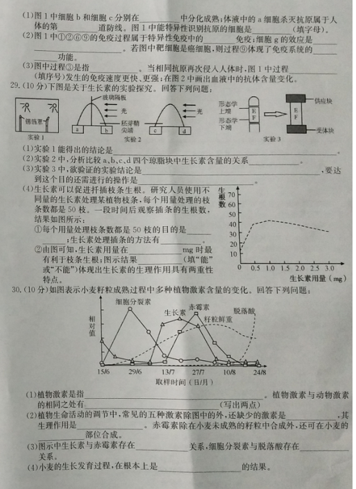 2021ɽRк鶴hӢW(xu)У߶όW(xu)10¿ԇ}DƬ棩6