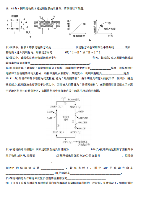 2021úʡLɳhھЌW(xu)9¿ԇ}DƬ棩5