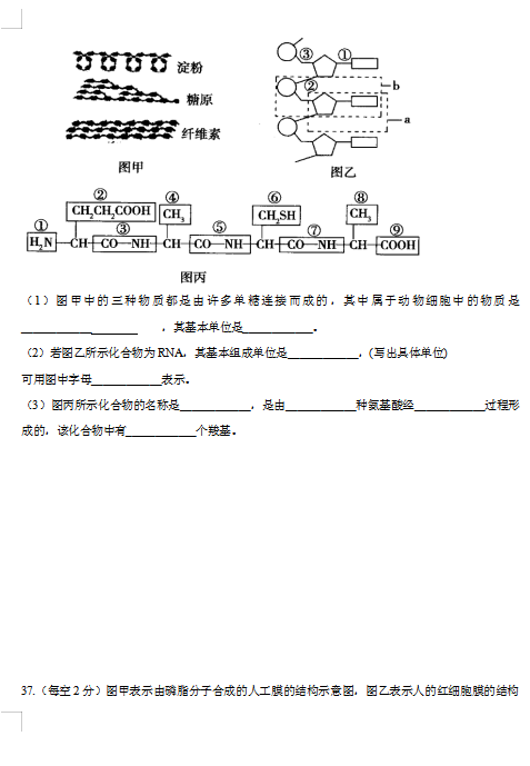 2021ɽʡ(yng)ȪۿhЌW(xu)όW(xu)ڵһ¿ԇ}DƬ棩11