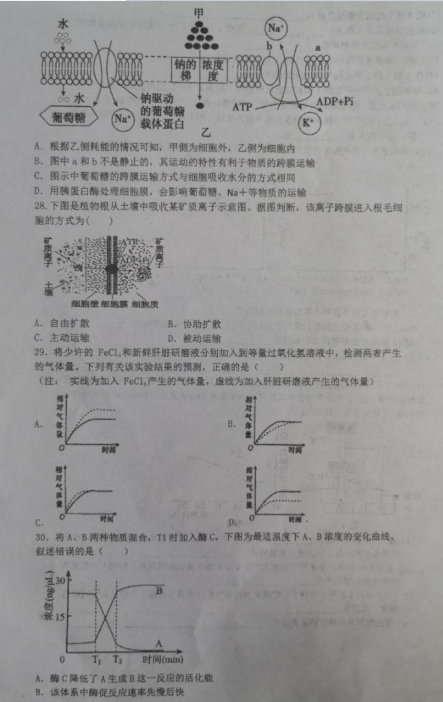 2021ðʡ`赿hһЌW(xu)һ12¿ԇ}DƬ棩5