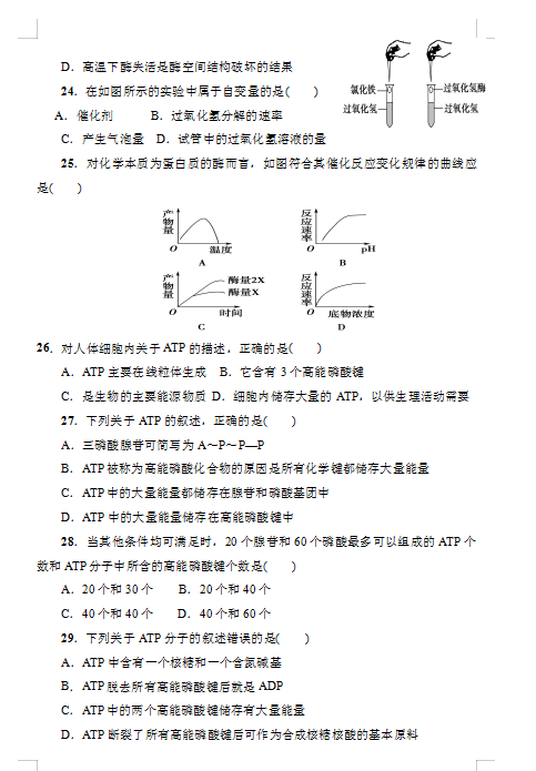 2021øʡƽͿhһЌW(xu)һόW(xu)ڶ¿ԇ}DƬ棩5