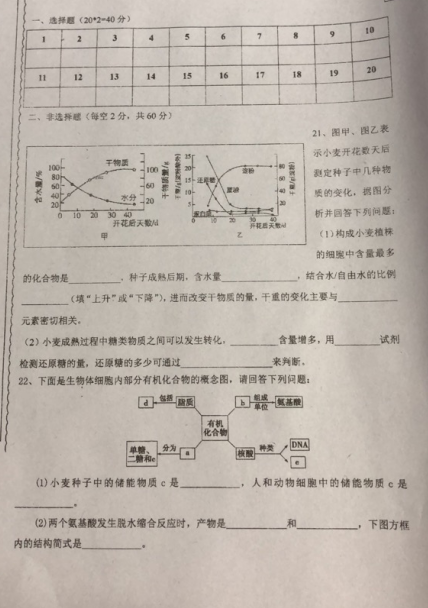 2021ýɽhЌW(xu)һόW(xu)ڶ¿ԇ}DƬ棩5