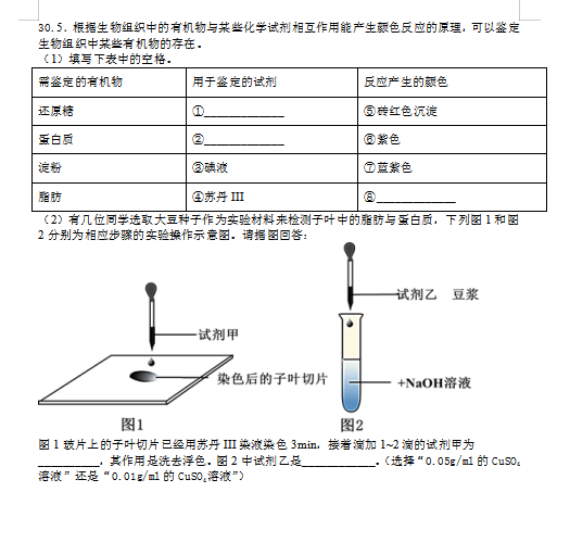 2021ϲhɏЌW(xu)һόW(xu)һ¿ԇ}DƬ棩4