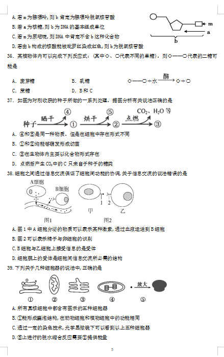 2021ÌyбW(xu)ЌW(xu)߶10¿ԇ}DƬ棩5