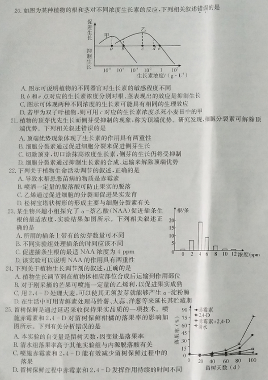 2021ɽRк鶴hӢWУ߶όW10¿ԇ}DƬ棩4