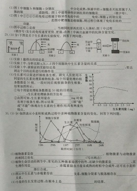 2021ɽRк鶴hӢW(xu)У߶όW(xu)10¿ԇ}DƬ棩6