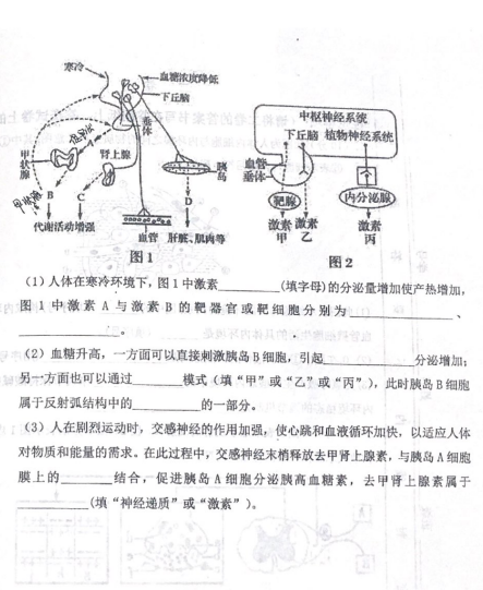 2021^(q)ͳǌ(sh)(yn)ЌW(xu)߶όW(xu)һ¿ԇ}DƬ棩8