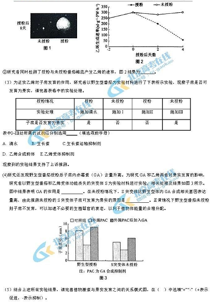 2021챱ѧĩ⣨ͼƬ棩8