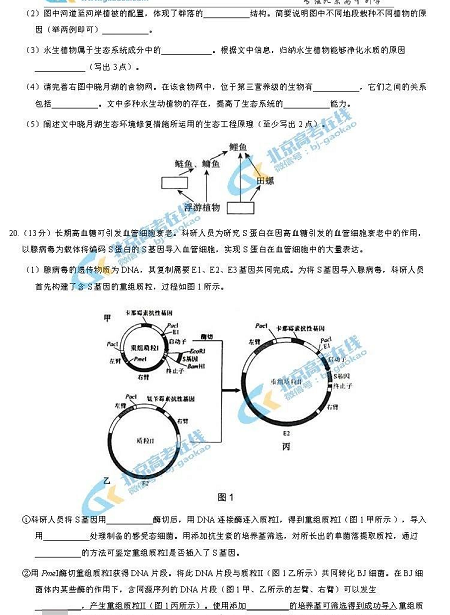 2021ñόW(xu)ĩԇ}DƬ棩10