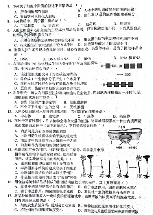 2021úʡݸһһW(xu)|(zh)zy(c)ԇ}DƬ棩2