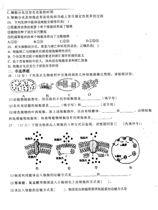 2021úʡr(nng)Ӂ߼(j)ЌW(xu)һόW(xu)ĩԇ}DƬ棩5