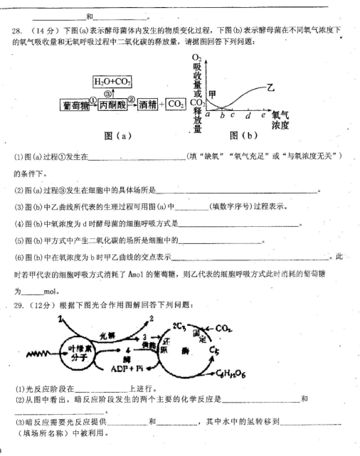 2021úʡr(nng)Ӂ߼ЌW(xu)һόW(xu)ĩԇ}DƬ棩6