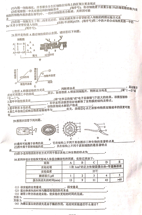 2021fݶиһόW(xu)ĩ(f)(x)ԇ}DƬ棩4