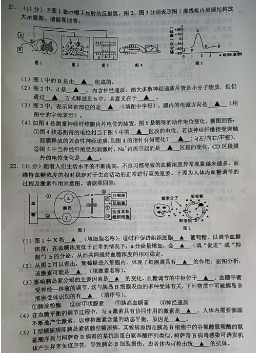 2021ýKʡͨки߶όW(xu)W(xu)I(y)|(zh)O(jin)y(c)ԇ}DƬ棩6