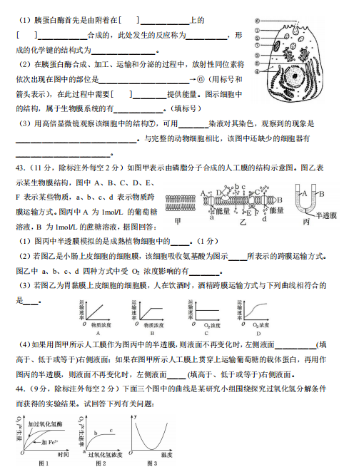 2021ĴʡɶꖰЌW(xu)һ11¿ԇ}DƬ棩9