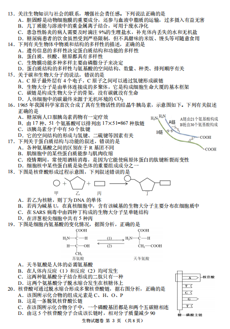 2021Ìl(xing)еһ߼ЌW(xu)һόW(xu)11(lin)ԇ}DƬ棩3