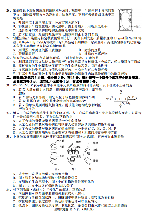 2021Ìl(xing)еһ߼ЌW(xu)һόW(xu)11(lin)ԇ}DƬ棩5