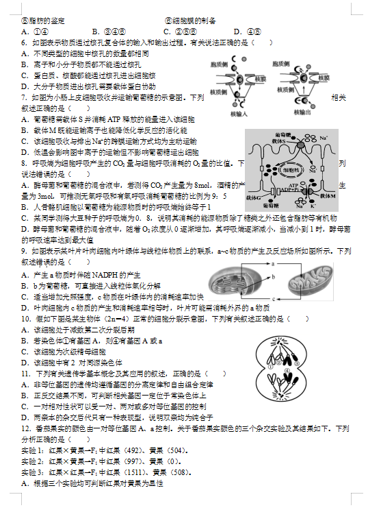 2021ýʡMMhЌW(xu)߶όW(xu)12¿ԇ}DƬ棩2