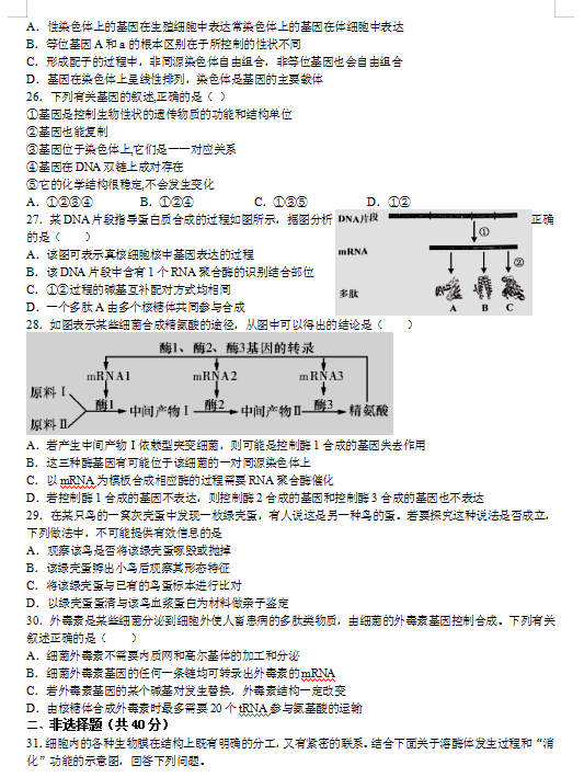 2021ýʡMMhЌW(xu)߶όW(xu)12¿ԇ}DƬ棩5