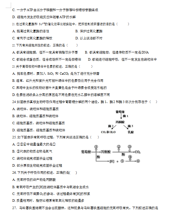 2021ÌRmhЌW(xu)߶όW(xu)ڶ¿ԇ}DƬ棩5