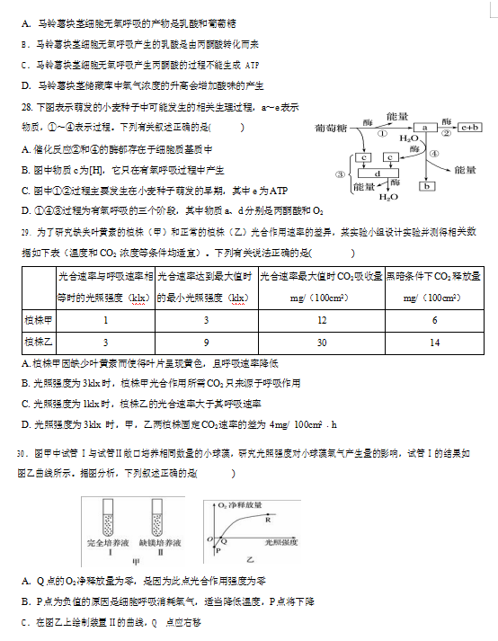 2021ÌRmhЌW(xu)߶όW(xu)ڶ¿ԇ}DƬ棩6