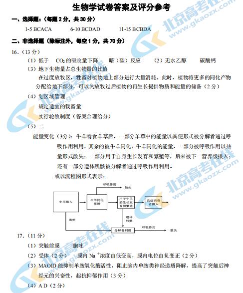 2020챱ʯɽһģ𰸣ذ棩