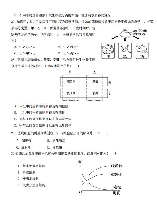 2021ñxٌW(xu)УһόW(xu)ԇ}DƬ棩5