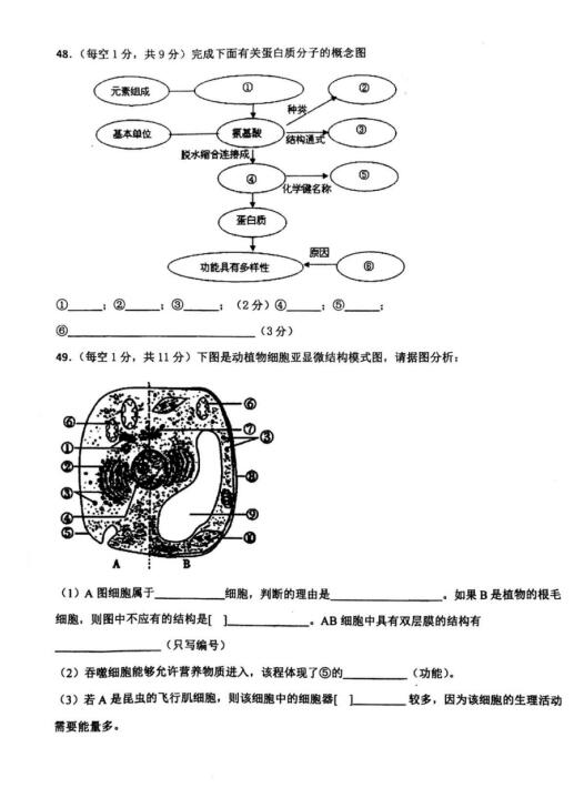 2021ÏVόߌиһόW(xu)пԇ}DƬ棩12