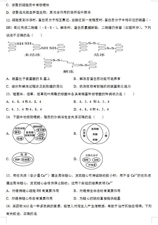 2021úϟᎧW(xu)ԺЌW(xu)һόW(xu)ԇ}DƬ棩3