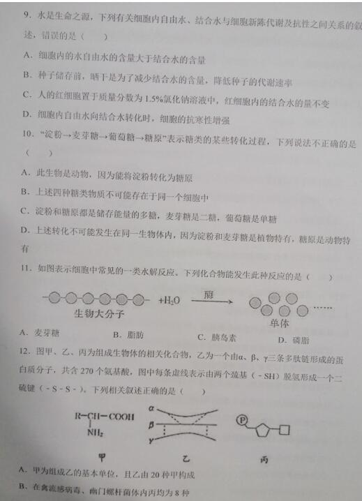 2021úZW(xu)УһόW(xu)ԇ}DƬ棩3