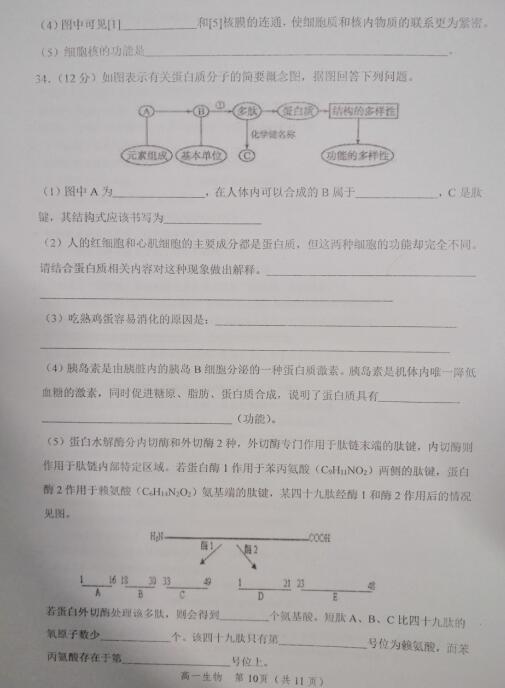 2021úZW(xu)УһόW(xu)ԇ}DƬ棩10