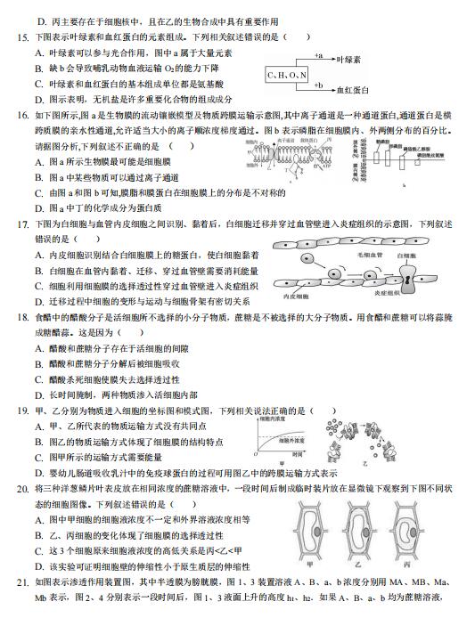 2021иһόW(xu)ԇ}DƬ棩3