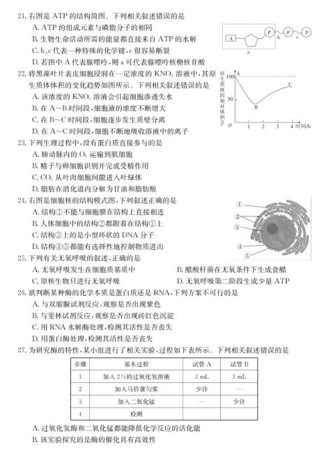 2021ʡСW(xu)߶όW(xu)ԇ}DƬ棩4